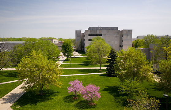 Indiana University Northwest