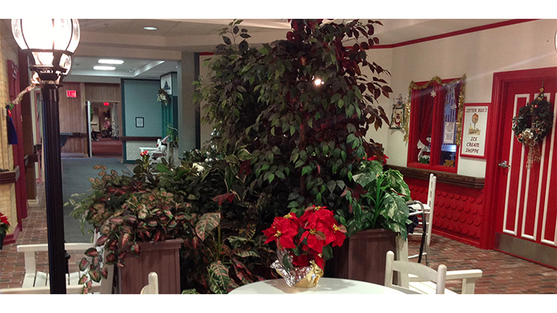 Dyer Nursing &amp; Rehabilitation