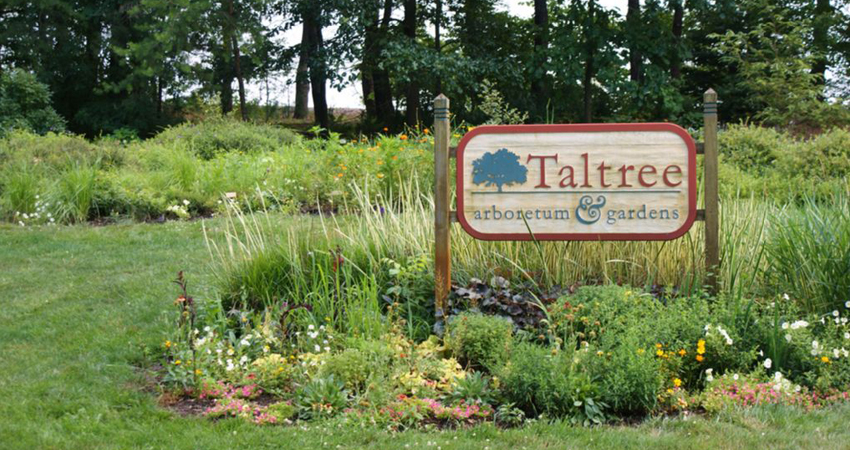 Taltree Arboretum &amp; Gardens