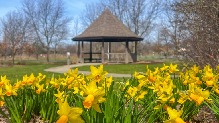 Valpo Parks Foundation