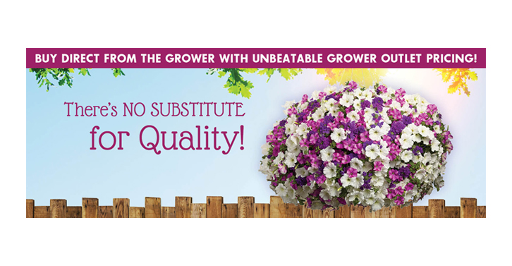 Blooms Greenhouse Grower Outlet