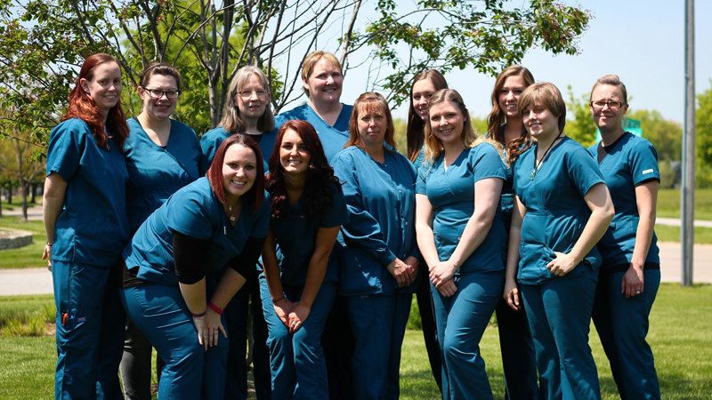 Vale Park Animal Hospital