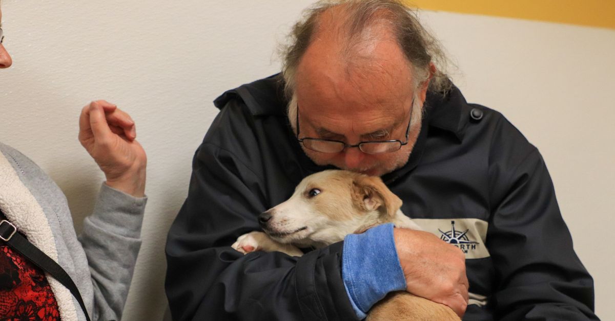 Veterans Day Patriot Pups 2022