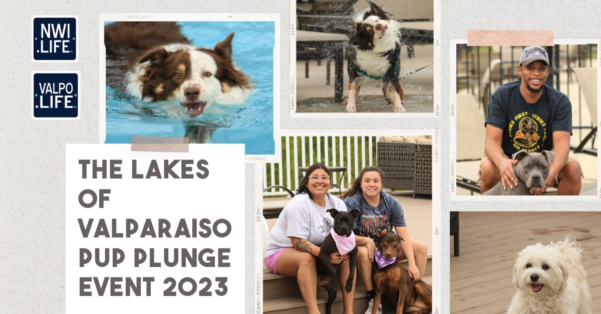 The Lakes of Valparaiso Pup Plunge event 2023