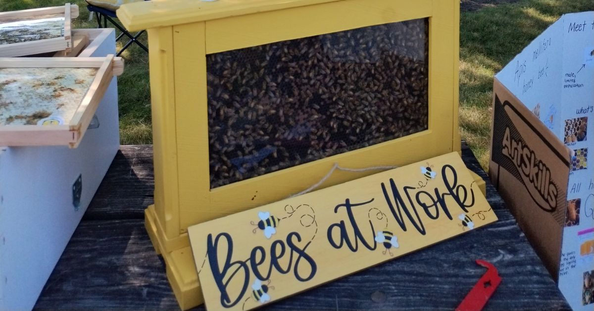 2nd Annual INSECTIVAL at Oak Ridge Prairie