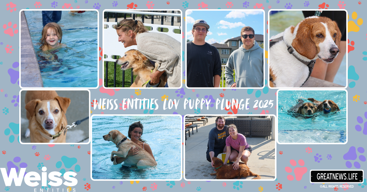 Splish, splash, pups have a blast at Weiss Entities Lakes of Valparaiso Puppy Plunge