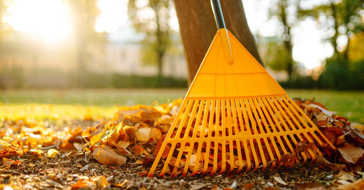 City of Michigan City’s annual leaf pickup for Fall 2025