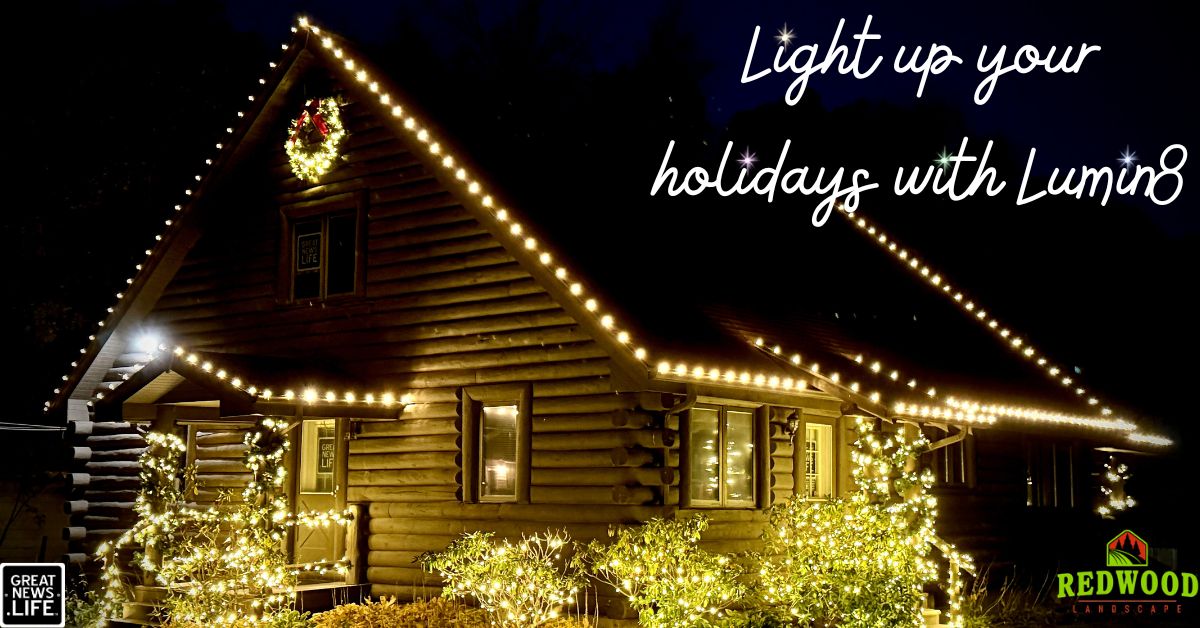 Redwood Landscape, Lumin8 decorate the GNL office for the holiday season