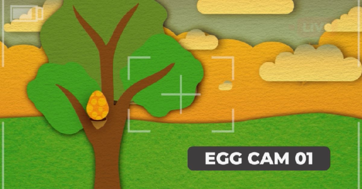 Something Is Hatching at St. Joe County Public Library 