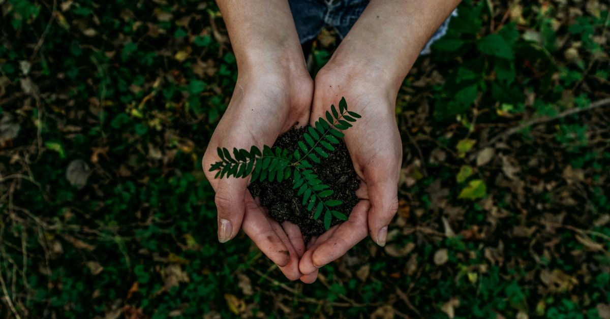 Michigan City to Plant More Than 500 Trees This Spring as Part of $1 Million Urban Forestry Investment