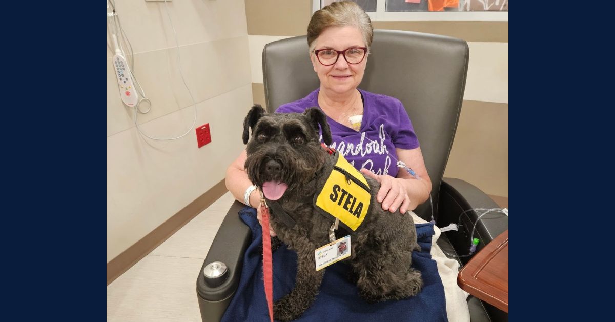 Goshen Health’s Support Dog Program: A dog’s impact on patient care