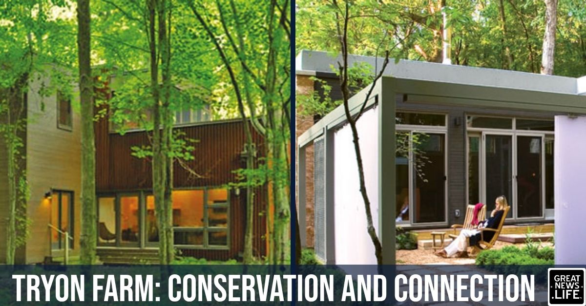 Tryon Farm partners with 1st American Management Company to maintain 120+ acres of free-range living