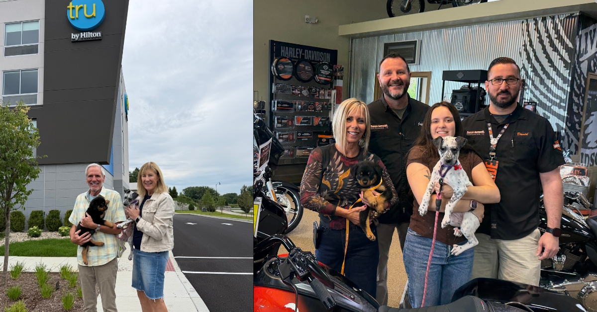 One unexpected visitor. One generous ‘yes.’ More than 8,800 dogs saved
