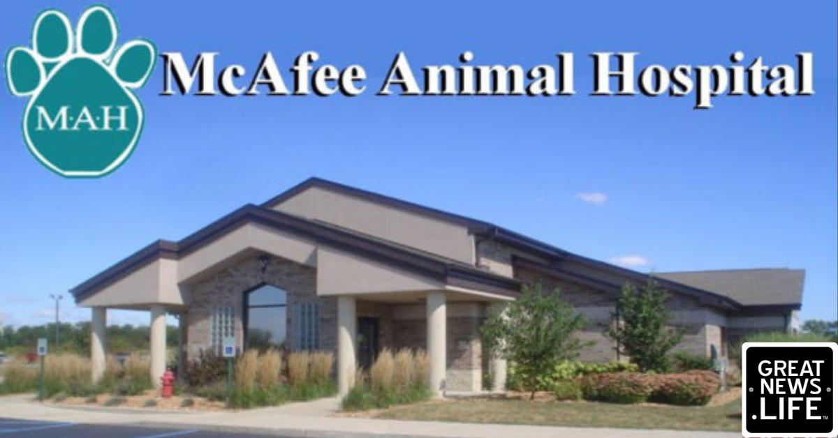 Christine Robinson ensures support and communication for all patients and clients of McAfee Animal Hospital