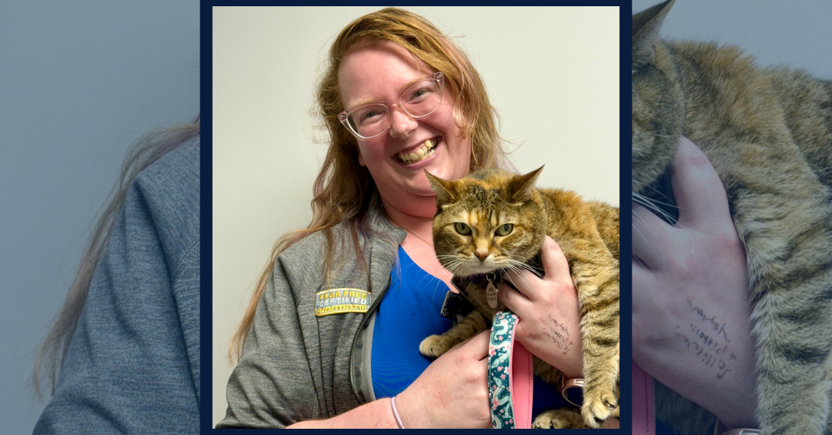 Cassie Eaton finds her spark at McAfee Animal Hospital