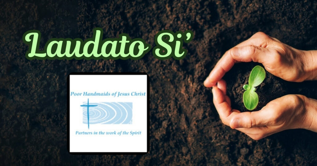 Poor Handmaids of Jesus Christ lives through ‘Laudato Si’ to care for different ecologies