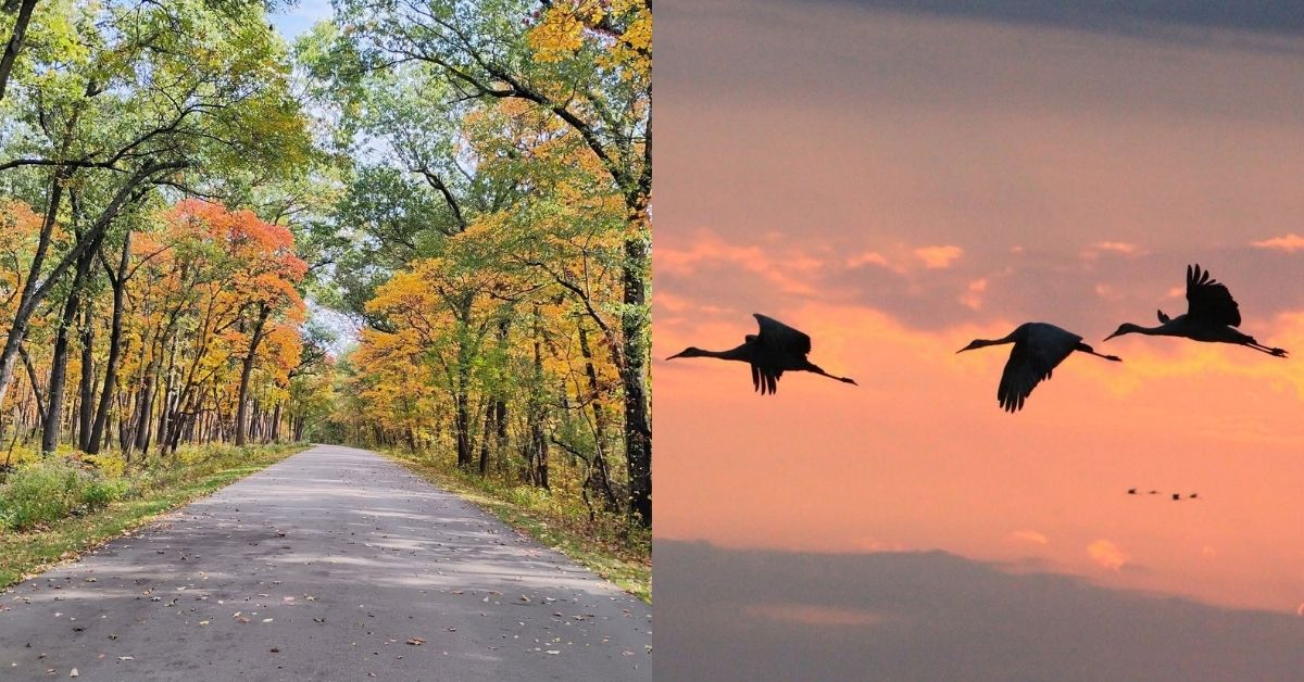 Pulaski County’s fall events have something for everyone
