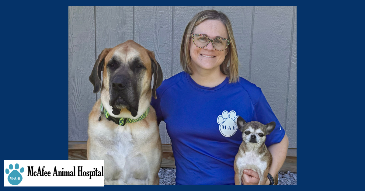McAfee Animal Hospital guides first-time pet owners through routine vet visits
