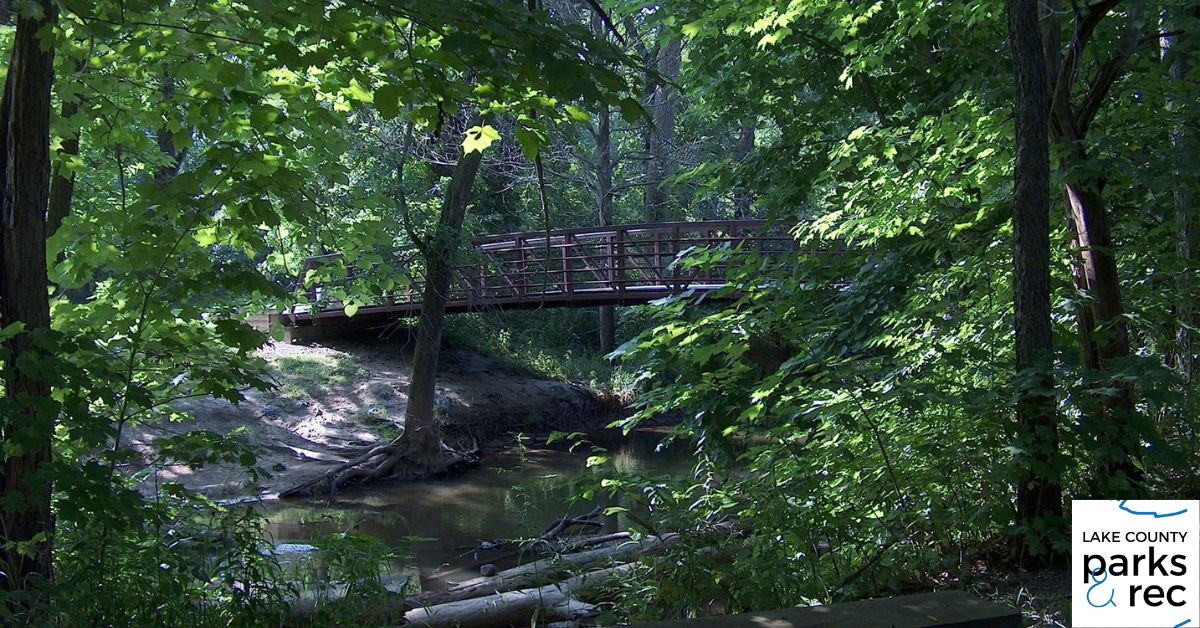 Weathering the Storm: Lake County Parks’ Storm Heroes