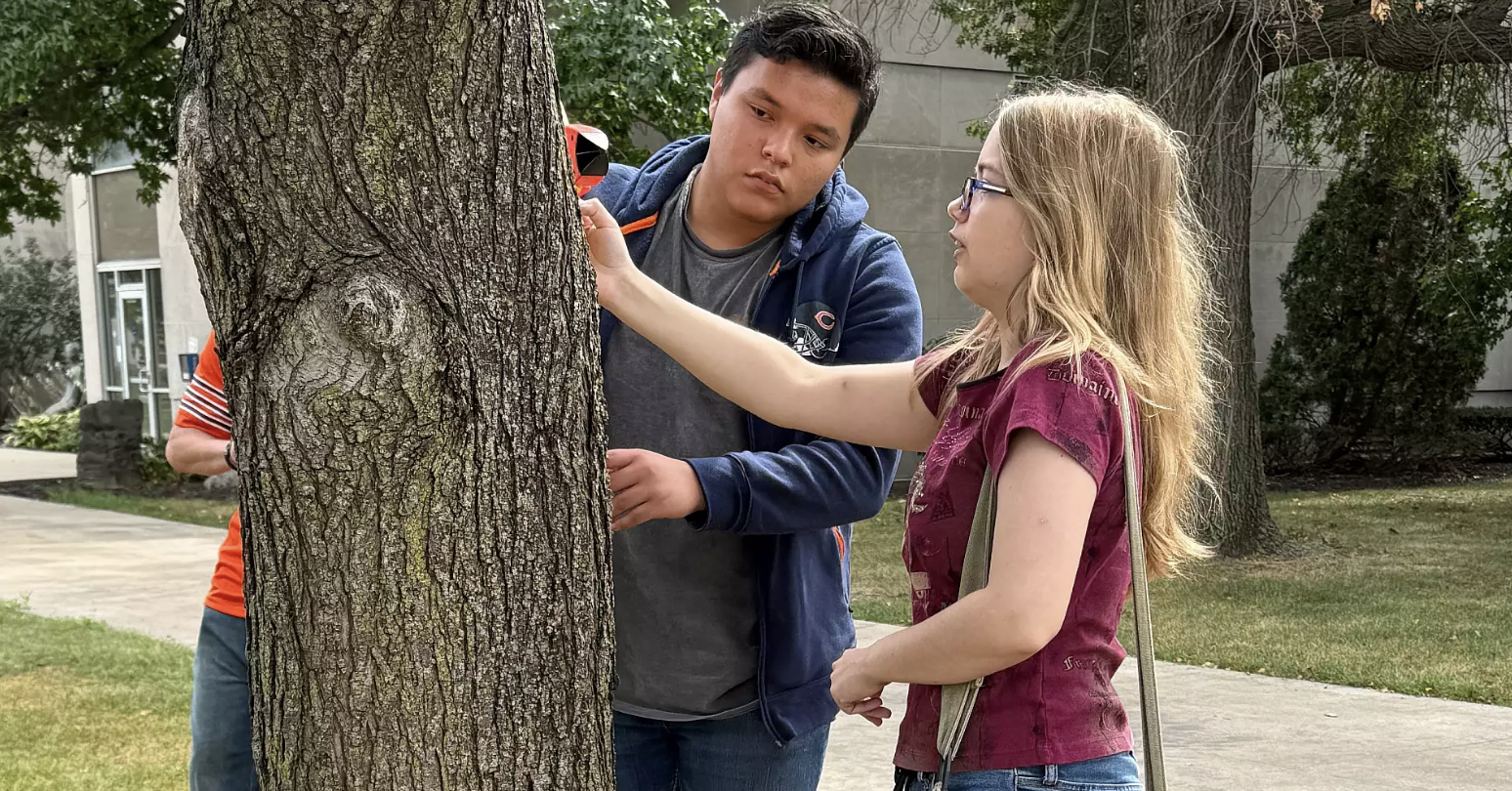 Turning storm recovery into a classroom: IU Northwest course focuses on conservation
