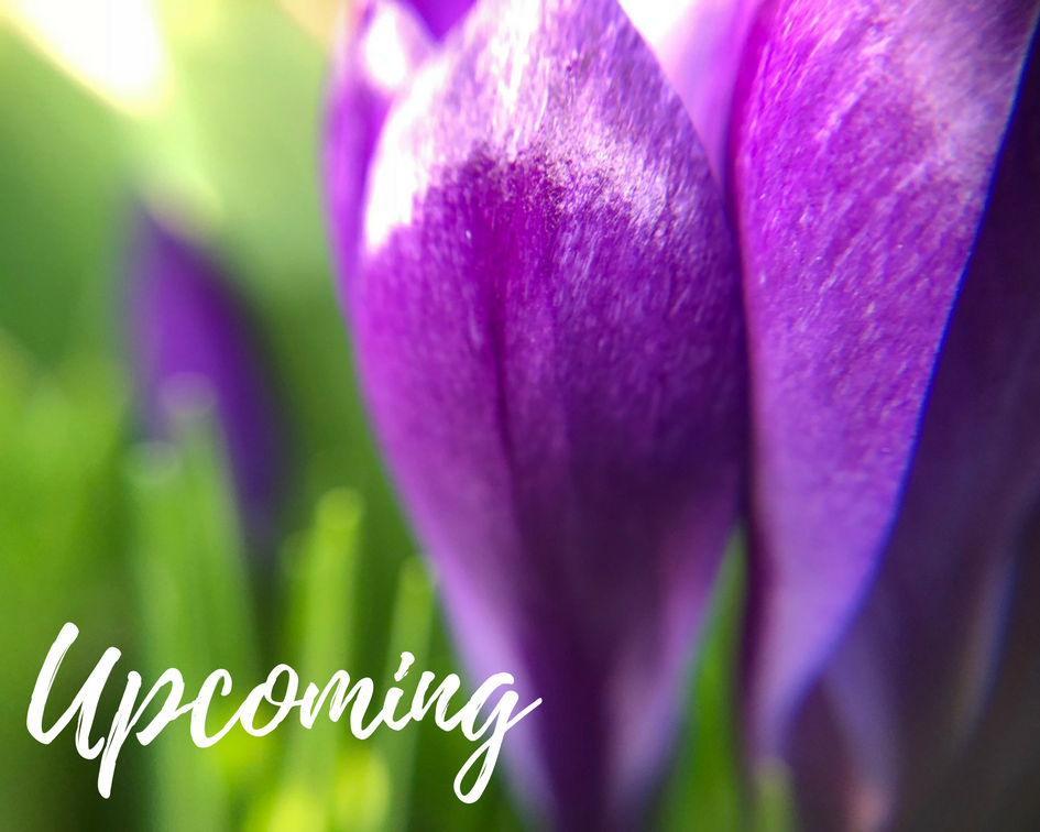 1StudentNWI Good Things Sprouting in Kouts Valpo.Life