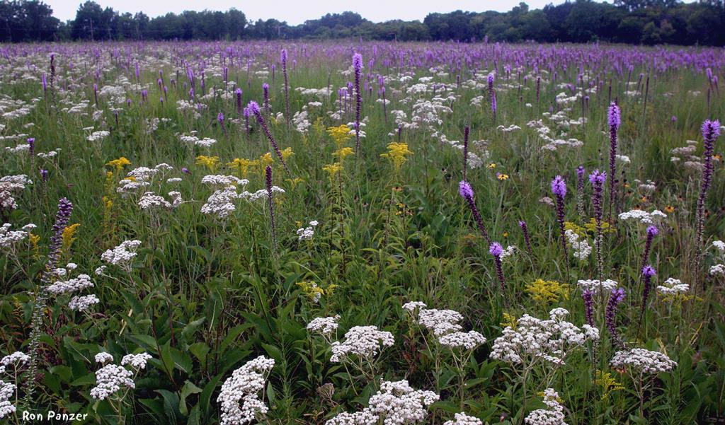 2014 Shirley Heinze Land Trust Hike Program