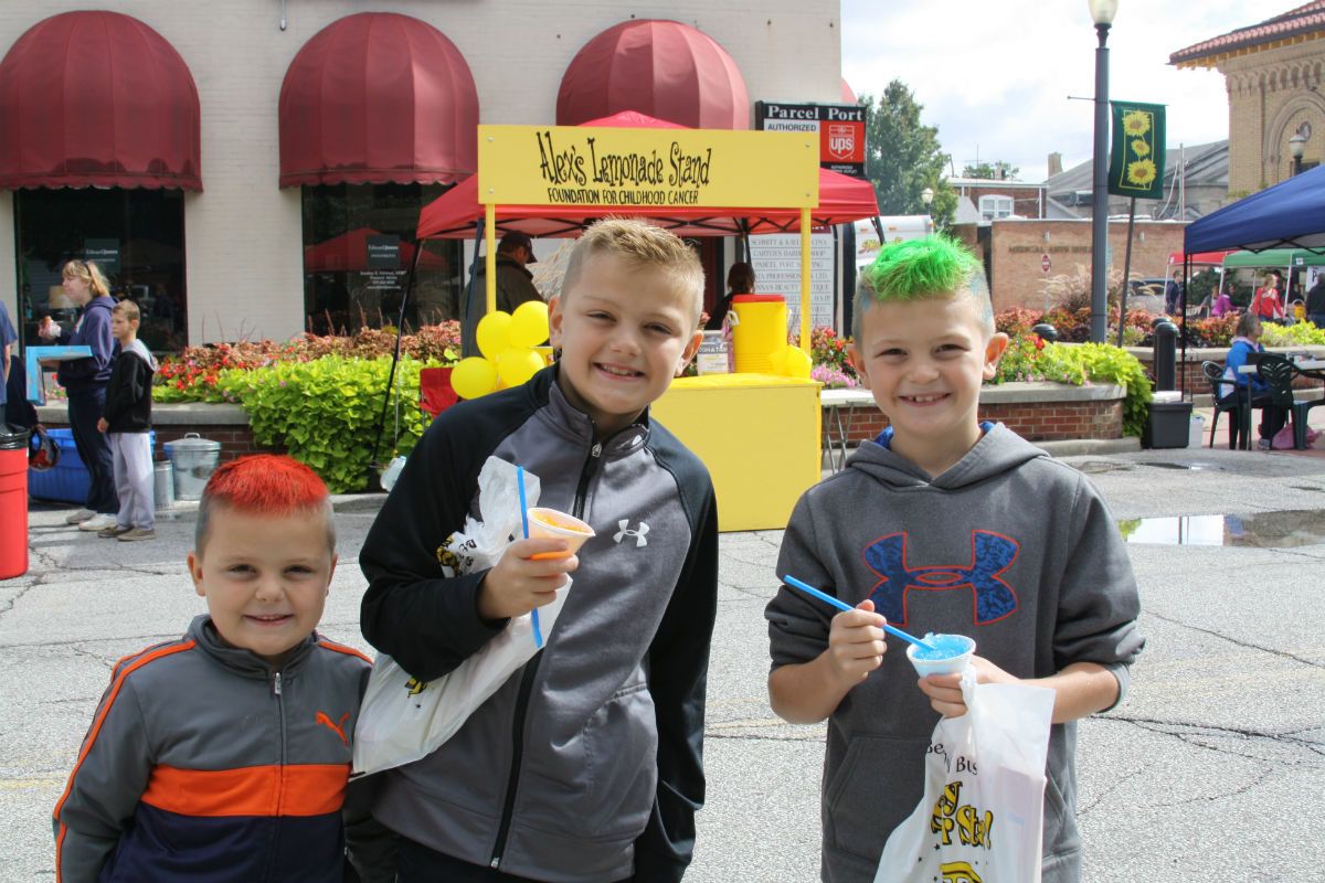 2015-sunflower-fair-2