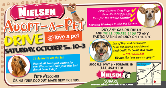 Adopt-a-Pet-Oct-2013