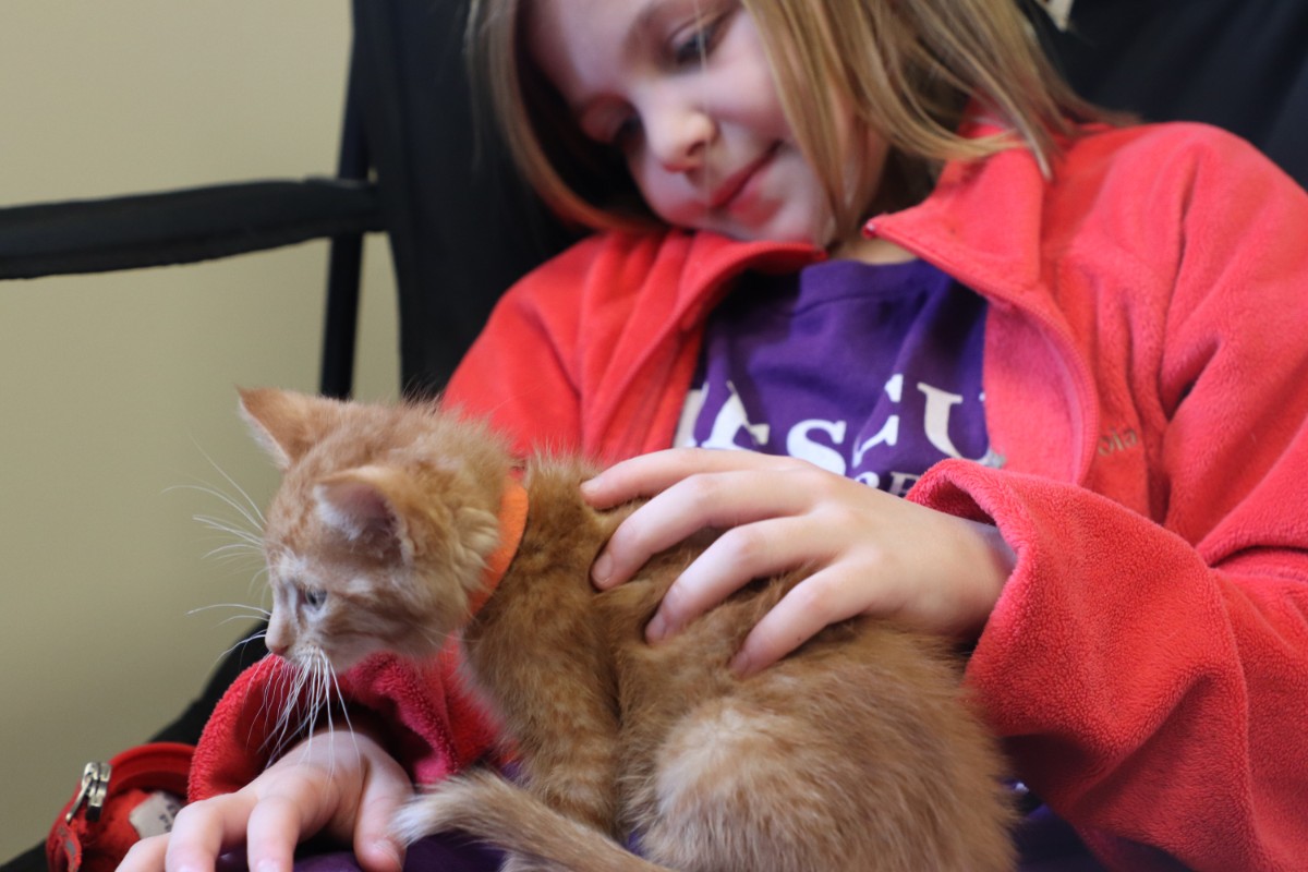 Advanced-Animal-Medical-Aloha-2018-2