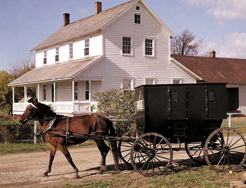 Amish-Acres-Horse-Buggy-300