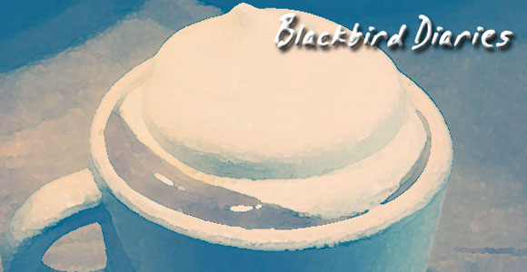 BlackbirdDiaries drink-header