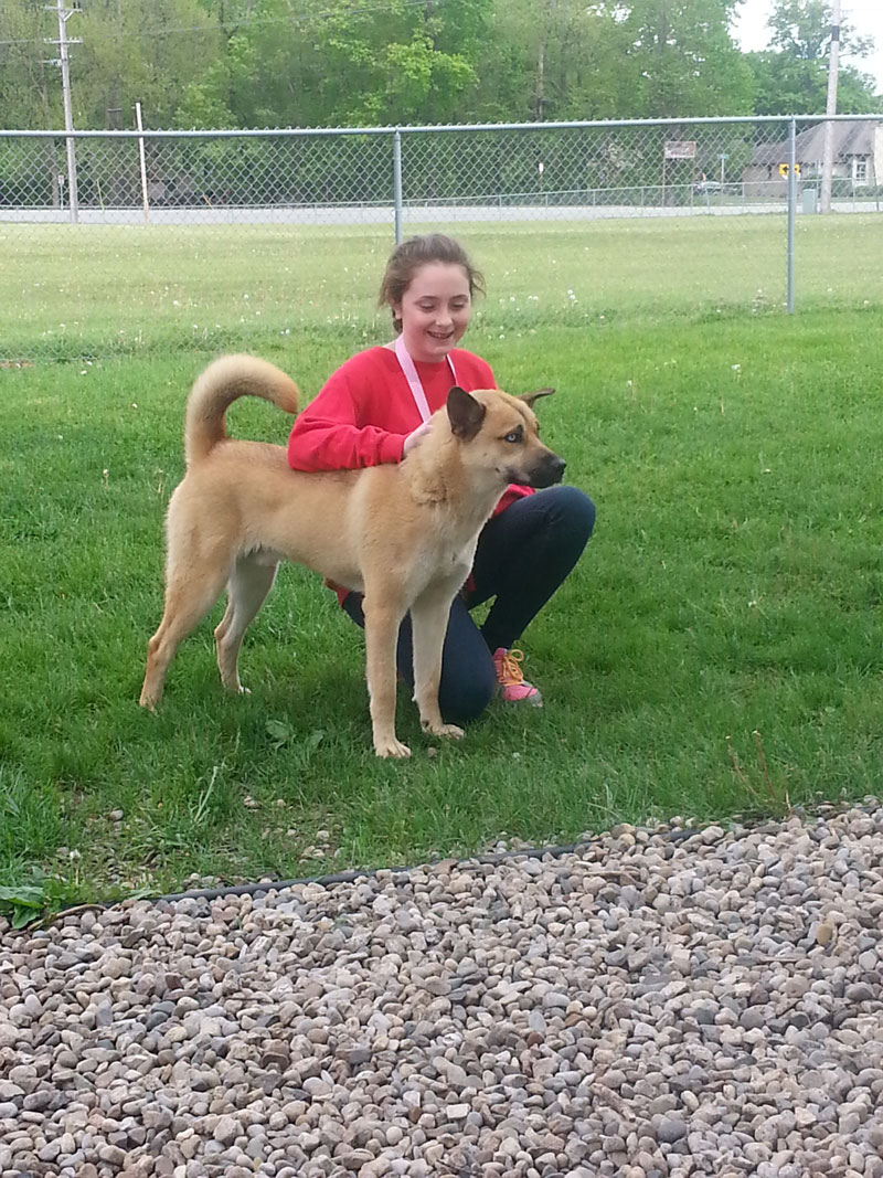 BMS-7th-Grade-Animal-Shelter-2016_01