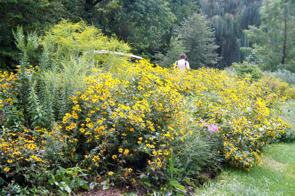 bringing-nature-home-awards-2