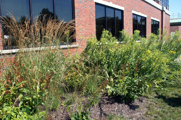 bringing-nature-home-awards-3