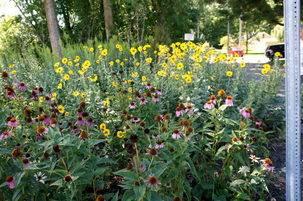 bringing-nature-home-awards