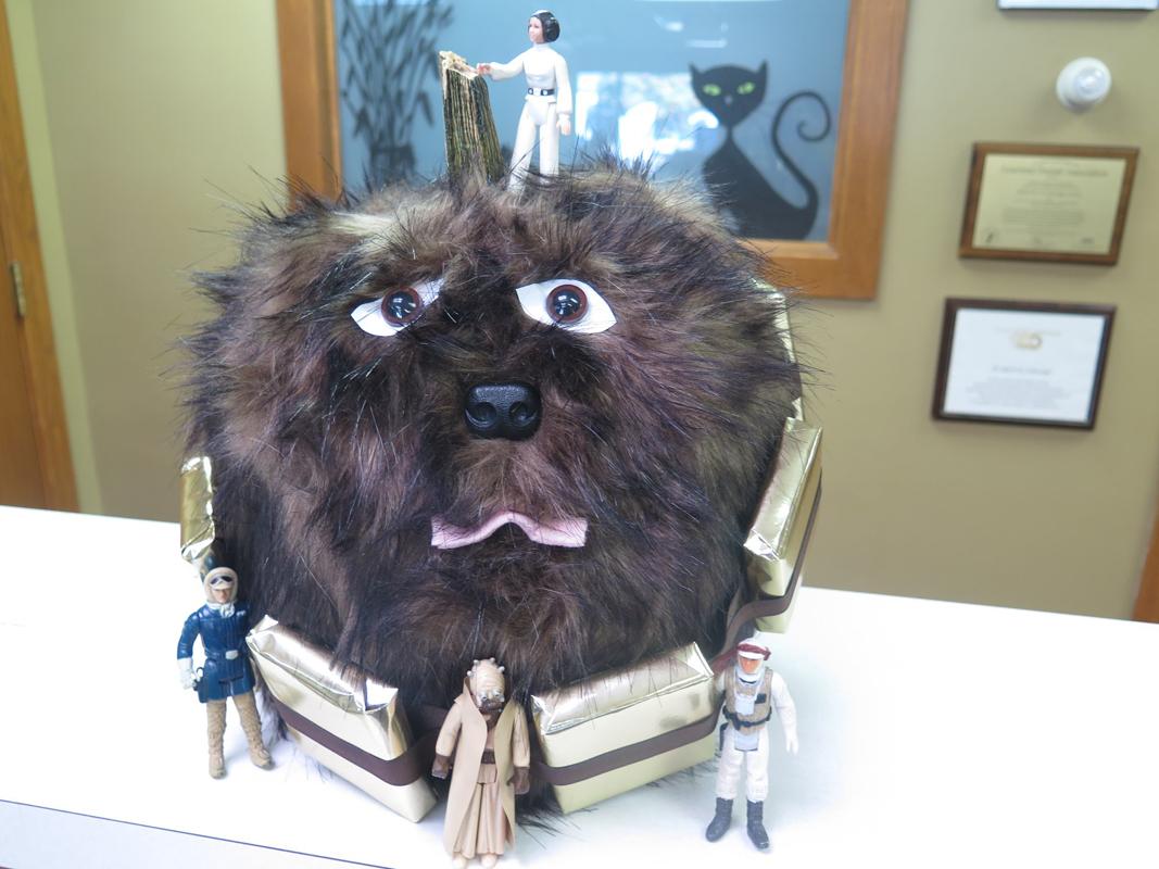 cavanaugh-nondorf-pumpkin-2018_07