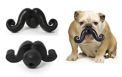 dog-stache