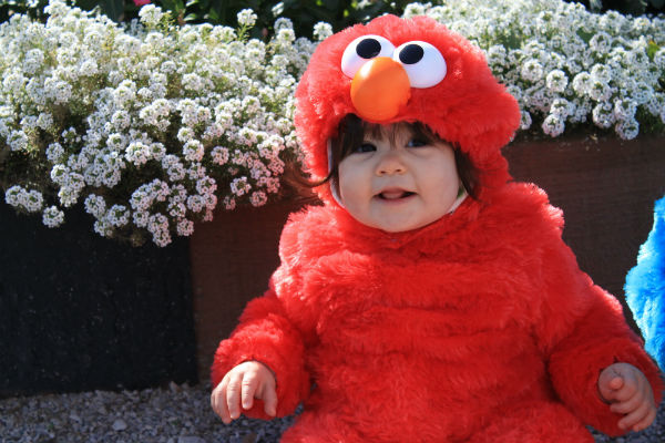 Fair Oaks Farms Cowtober Fest-1