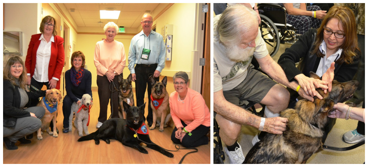 Franciscan St. Anthony Health-Crown Point: Pets Brings Therapy to Hospital Patients