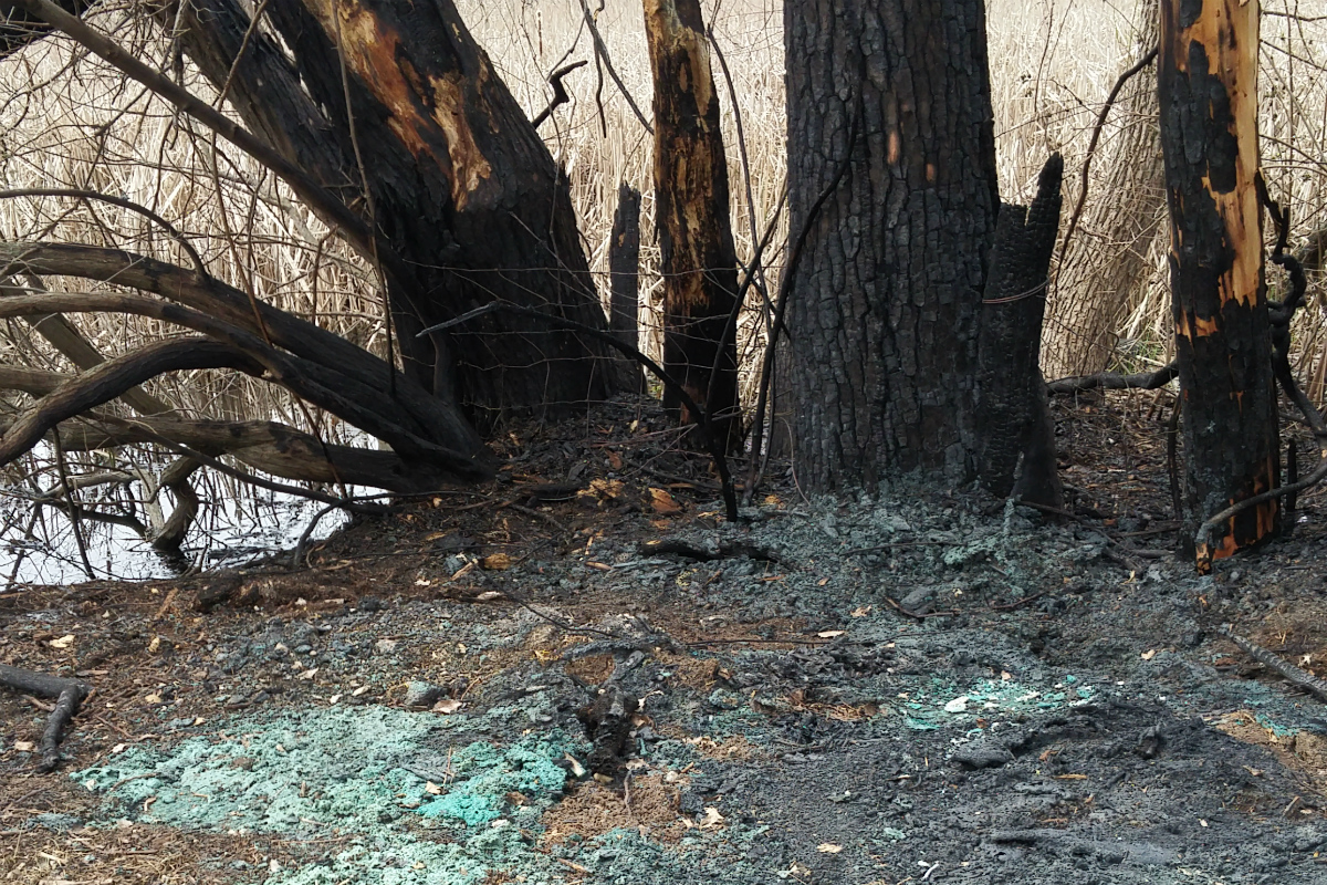 Johnny-On-the-Spot-Disasters-2018 04