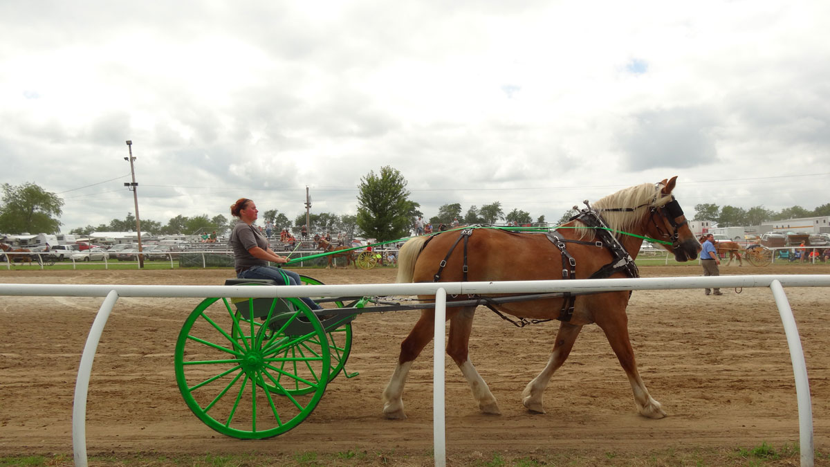 La Porte County Fair 03