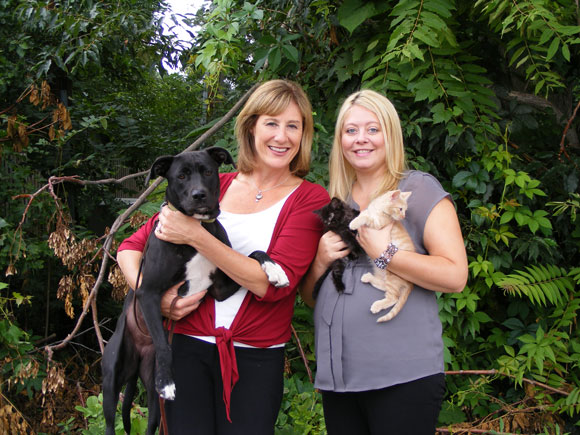 Calumet humane society store dogs