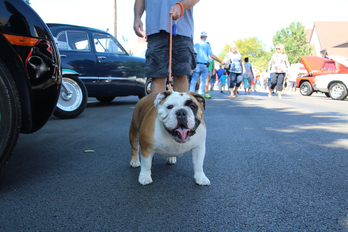 LaPorteSunflowerFest2