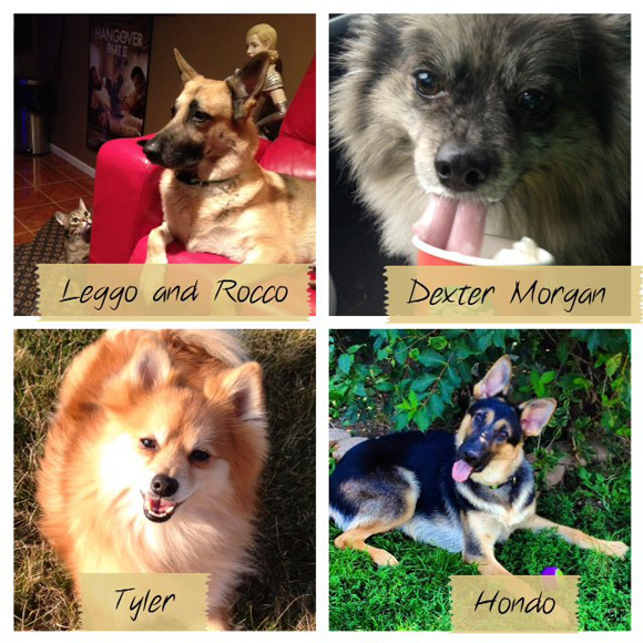 Leggo-Rocco-Dexter-Tyler-Hondo