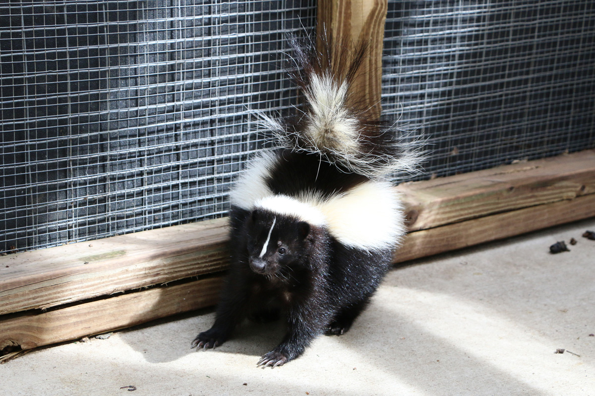 moraine-ridge-2017-4