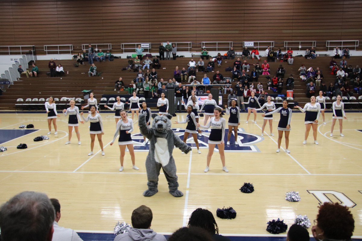 New-Wolfie-to-Debut-2019_05