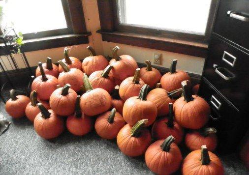 Pumpkins-Donated-2013