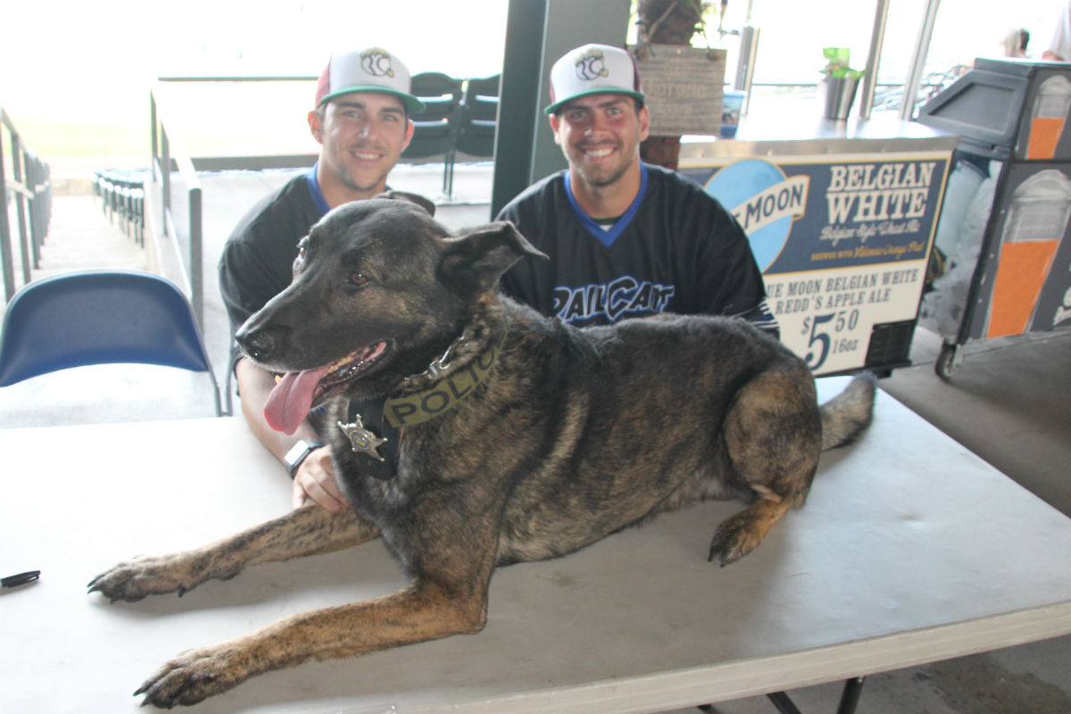 railcats-blue-night-2017-2