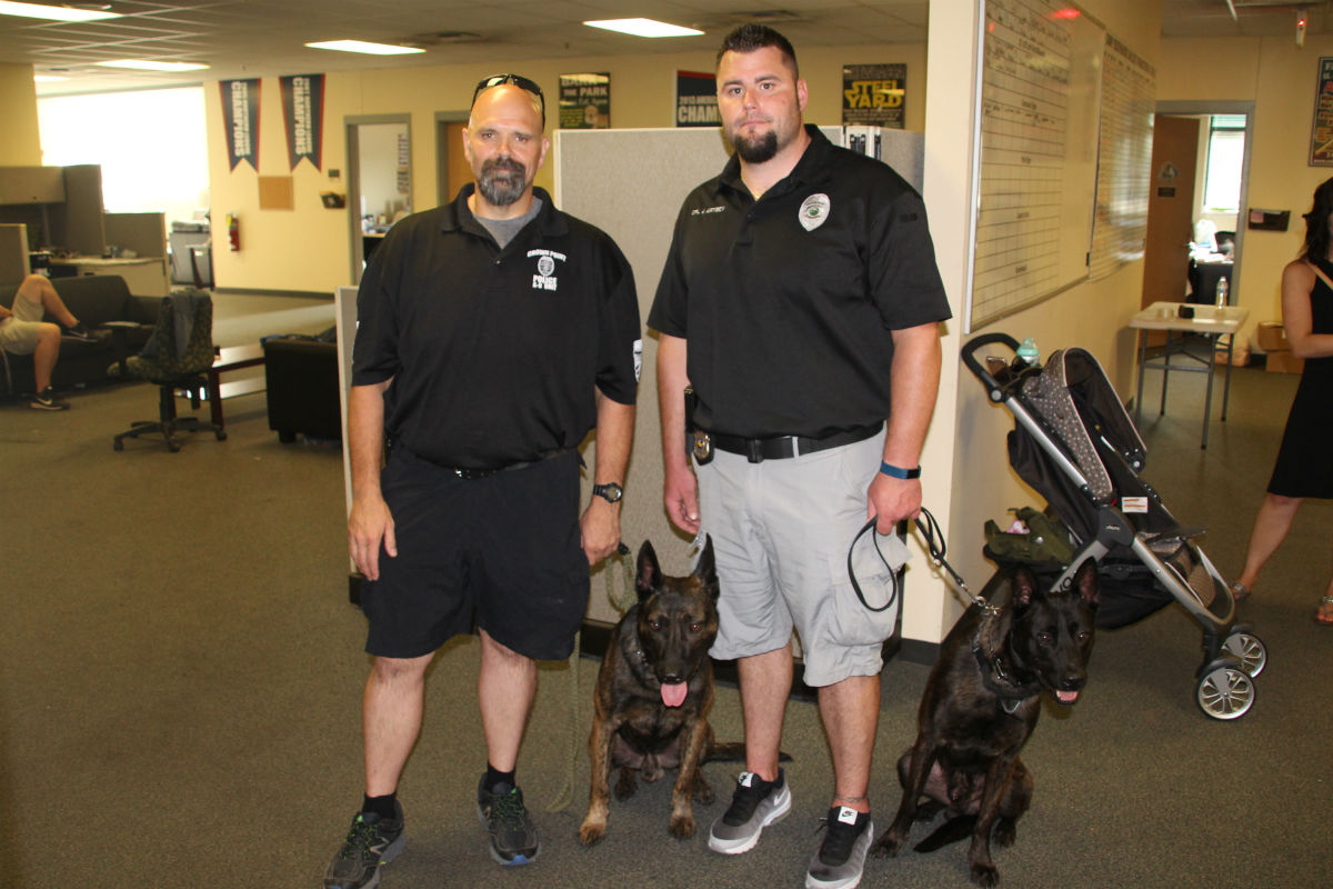 railcats-blue-night-2017-5