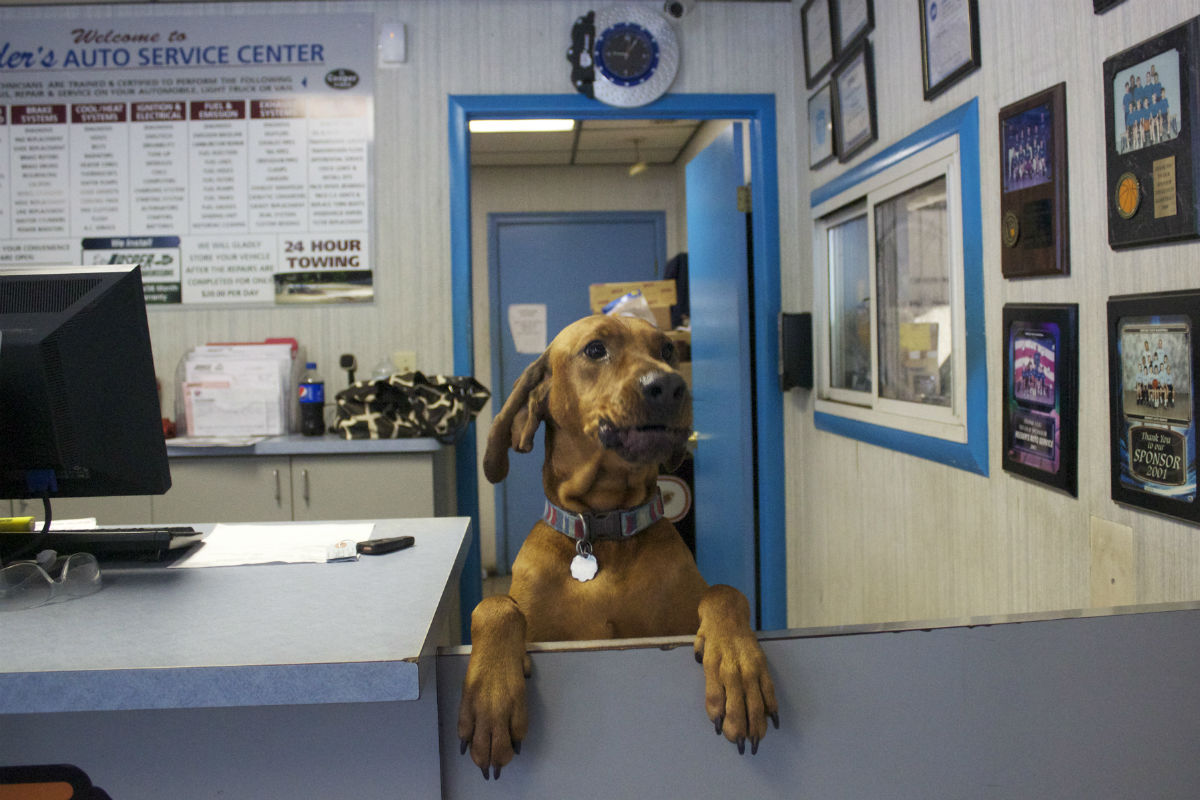 reeders-ac-2014-three